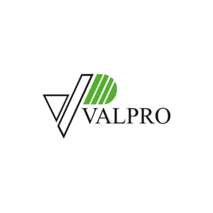 Valpro Kraftstoffkanister, BxHxL 165mm x 470mm x 360mm, Inhalt 20l