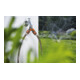 Vanne 2 voies GARDENA, pour robinets avec filetage 33,3 mm (G1)