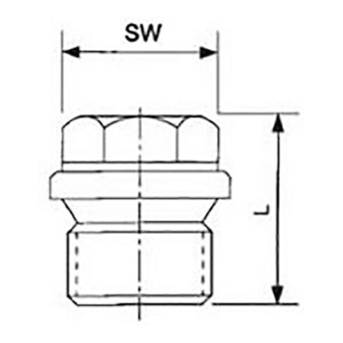 Verschlussschraube DIN 910 ISO 228-1 NPS=1/4 Zoll AG L 21mm SPRINGER