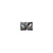 VIGOR Außenvierkant Antrieb 10 = 3/8 Zoll Innenvierkant Antrieb 10 = 3/8 Zoll Adapter für V6202-1 V6202-2 ∙ Vierkant hohl 10 mm (3/8 Zoll) ∙ Vierkant massiv 10 mm (3/8 Zoll)-5