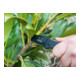 VIGOR Couteau pliant extérieur V4651 Longueur totale : 185 mm