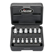 VIGOR Doppelsechskant Steckschlüssel Satz, V7514/13, 1/4 Zoll (6,3 mm) Vierkant, Außen Doppelsechskant Profil, 13-teilig, 4 – 14 mm-5