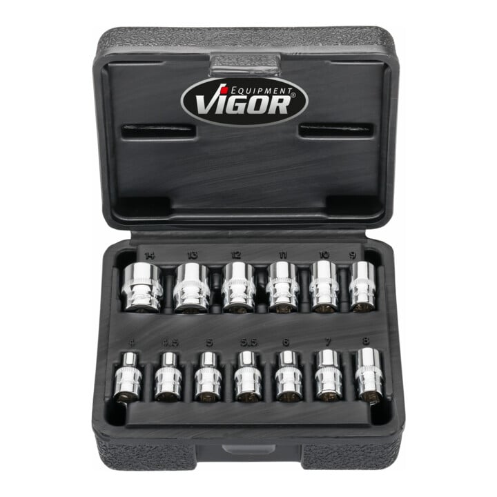 VIGOR Doppelsechskant Steckschlüssel Satz, V7514/13, 1/4 Zoll (6,3 mm) Vierkant, Außen Doppelsechskant Profil, 13-teilig, 4 – 14 mm