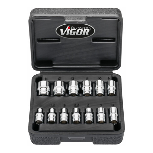 VIGOR Doppelsechskant Steckschlüssel Satz, V7514/13, 1/4 Zoll (6,3 mm) Vierkant, Außen Doppelsechskant Profil, 13-teilig, 4 – 14 mm