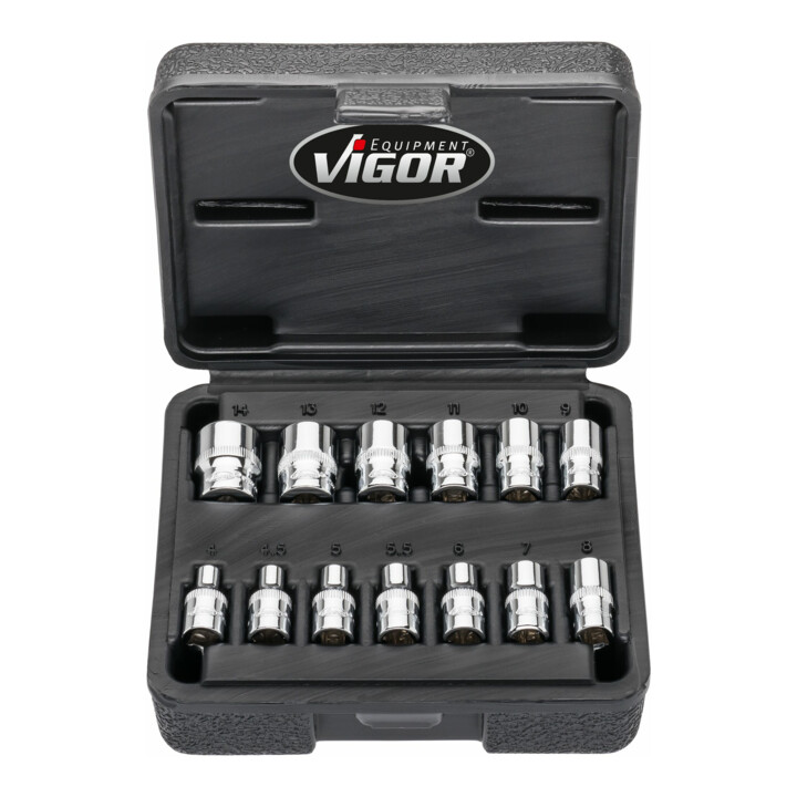 VIGOR Doppelsechskant Steckschlüssel Satz, V7514/13, 1/4 Zoll (6,3 mm) Vierkant, Außen Doppelsechskant Profil, 13-teilig, 4 – 14 mm
