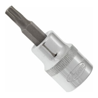 VIGOR carré femelle VIGOR 10 = tournevis TX 3/8" embout de tournevis intérieur TX TX