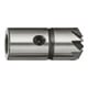 VIGOR Fraise diamètre 17 mm / 45° V3593 Longueur totale : 39 mm-1
