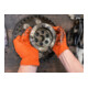 VIGOR Handschuhe, Grip, V6436-L, 100-teilig-4