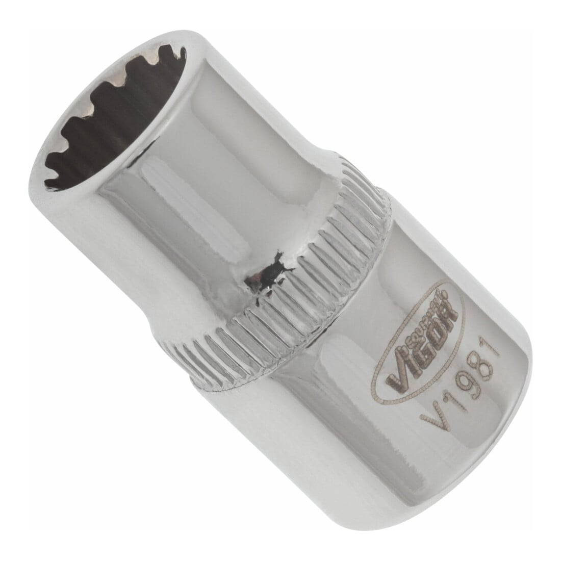 VIGOR 1/4" Multiprofil-Steckschlüssel-Einsatz Multiprofil