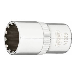 VIGOR Innenvierkant Antrieb 6,3 = 1/4 Zoll Multiprofil-Steckschlüssel-Einsatz Multiprofil V1983 Vierkant hohl 6,3 mm (1/4 Zoll) 10 Gesamtlänge: 25 mm