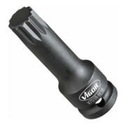 VIGOR Jeu d'embouts pour clé à chocs intérieur étoile (XZN) V7018-M18