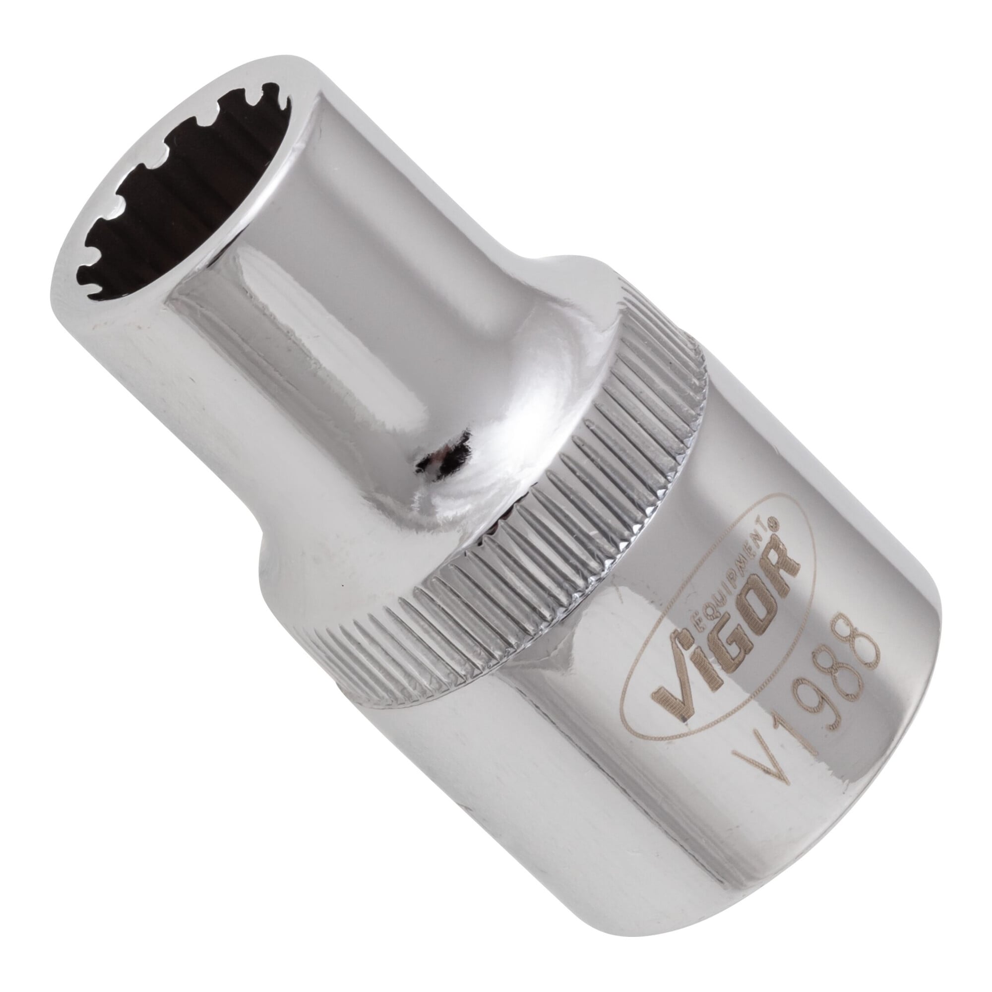 VIGOR Multiprofil-Steckschlüssel Einsatz Multiprofil V1988 Vierkant hohl 12,5 mm (1/2 Zoll) 10 Gesamtlänge: 38.1 mm