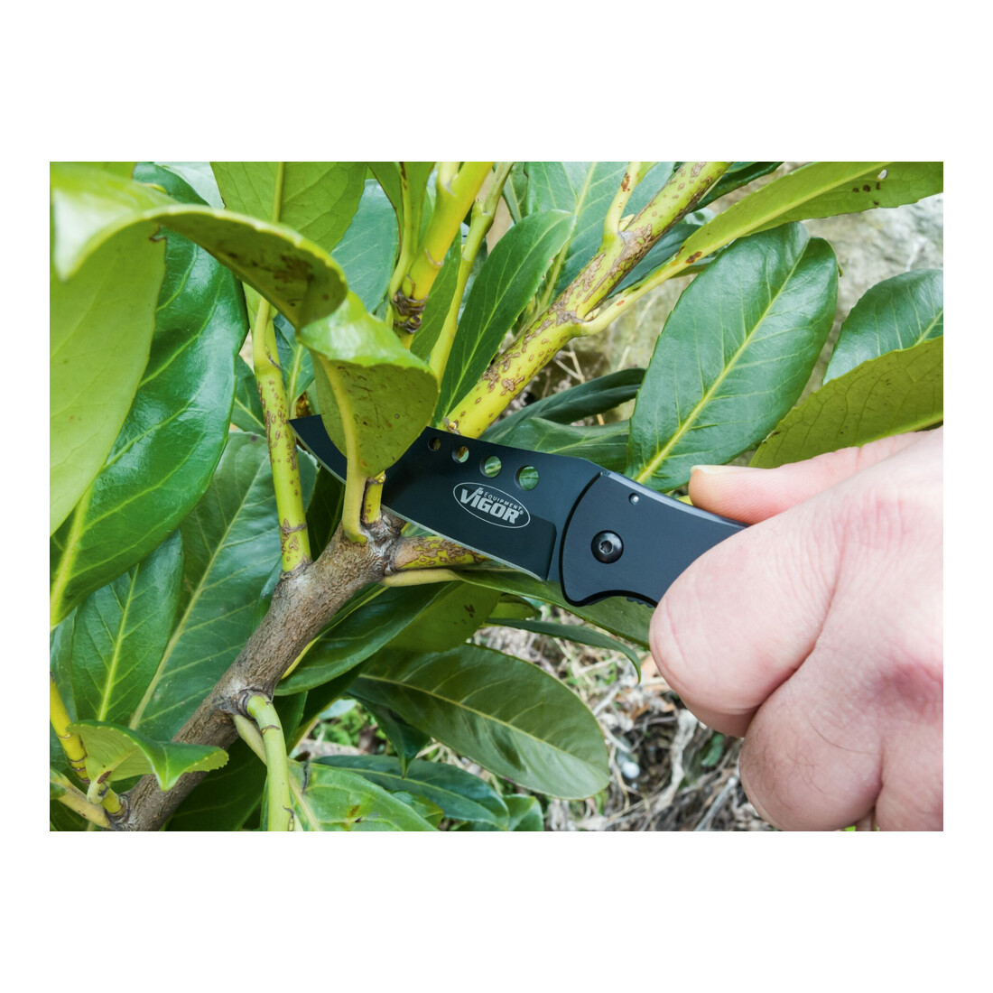 VIGOR Outdoor-Klappmesser V4651 Gesamtlänge: 185 mm