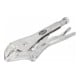 VIGOR Pince Universal-Grip grande V1803 L 250 mm