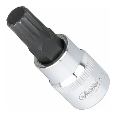 VIGOR quadro di manovra interno 10 = 3/8" a poligono interno, assortimento di bussole (XZN) V6018