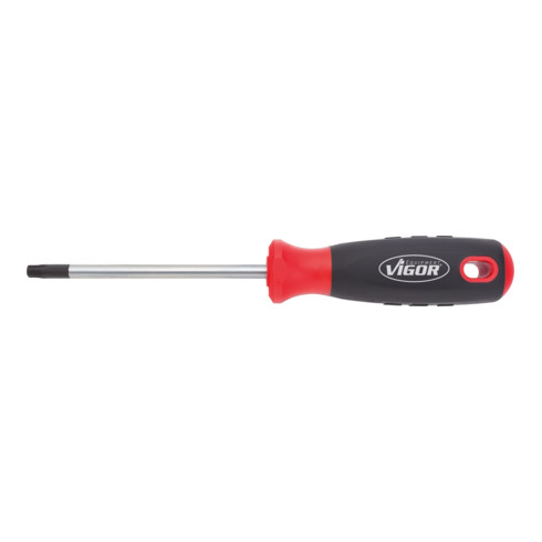 VIGOR V4419 TORX® Schraubendreher