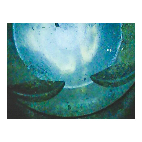 VIGOR Video-Endoskop, V7500/2