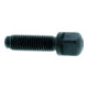Vis à carré pour tête à changement rapide M11x1x30 SRW-1