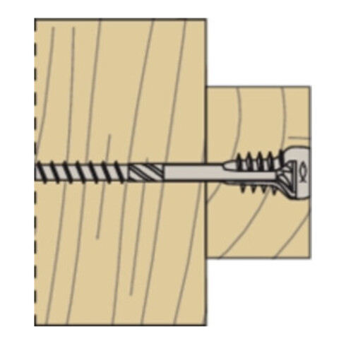 fischer vis d'ajustage FAFS