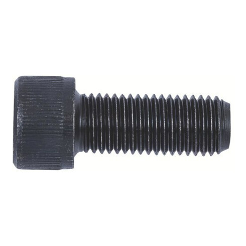 Vis de fixation pour mors rapportés durs et doux, Pour type de mandrin: 250