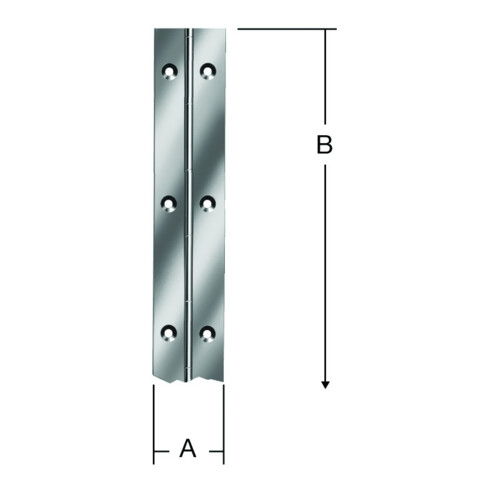 VORMANN Charnière à tige L 2040 mm, l 32 mm, inoxydable