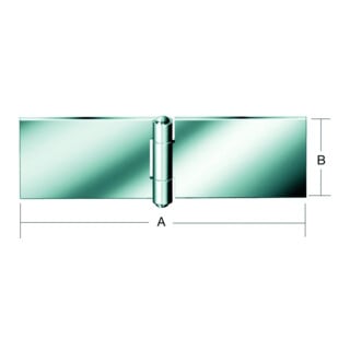 VORMANN Charnière de meuble L 100mm, l 32mm fer