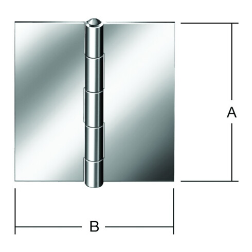 VORMANN Charnière de porte angulaire, L40xH40mm roulée, acier inoxydable, inoxydable