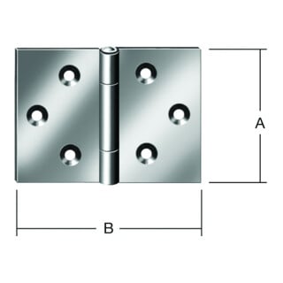 VORMANN Charnière de porte large, B120xH80mm roulée, acier inoxydable, inoxydable