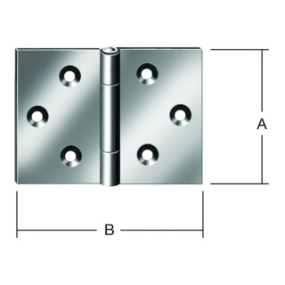 VORMANN Charnière de porte large, B60xH40mm roulée, acier inoxydable, inox