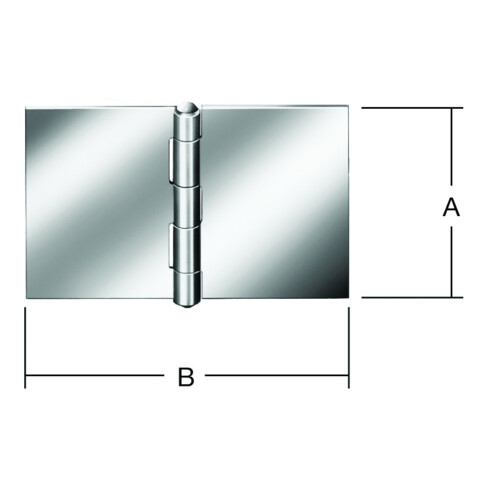 VORMANN Charnière de porte large, B90xH60mm roulée, acier inoxydable, inoxydable