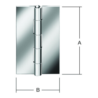 VORMANN Tür-Scharnier schmal,B31xH50mm gerollt Edelstahl,rostfrei