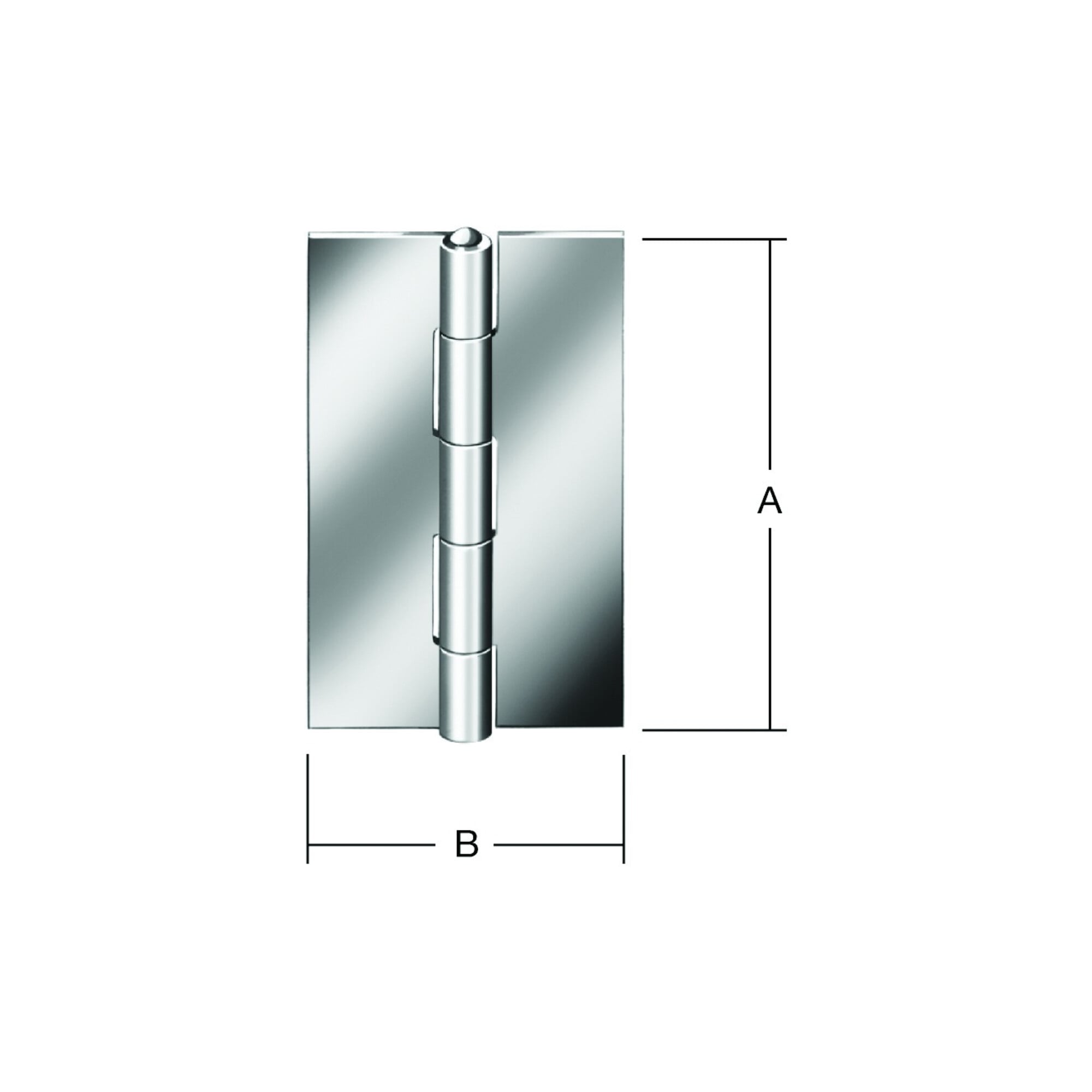 VORMANN Tür-Scharnier schmal,B31xH50mm gerollt Edelstahl,rostfrei