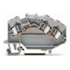 WAGO GmbH& Co. KG Bornier traversant 0,08-4 mm² gris 781-631