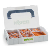 WAGO GmbH& Co. KG Set de bornes de connexion Mini Série 221 887-952-1