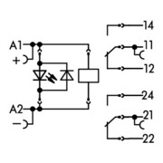 WAGO GmbH& Co. KG Socle à relais avec relais 2W, 12V CC/2x8A 788-311-3