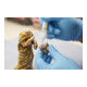 Weicon Contact VA 100 Cyanacrylat-Klebstoff 500 g