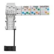 Weidmüller Stecker RJ45 werkzeuglos IE-PS-RJ45-FH-BK-5