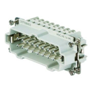 Weidmüller Insert de connecteur HDC HE 16 MS-1