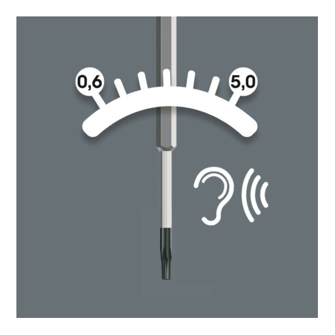 Wera 300 Hex Draaimoment-indicator, Pistoolgreep