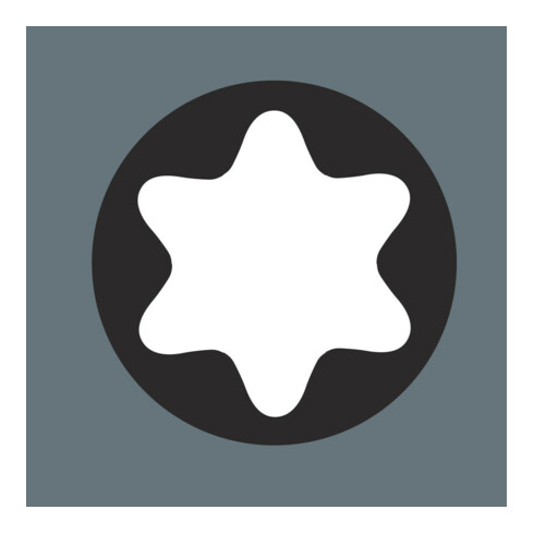 Wera 7776 9x12mm Außentorx Einsteckwerkzeug Außen-TORX® TX10