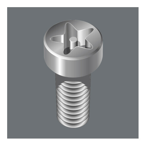 Wera Torx-Plus® Bit 867/4 IPR mit Bohrung