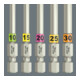 Wera TX-bit met vasthoudfunctie 867/4 TX