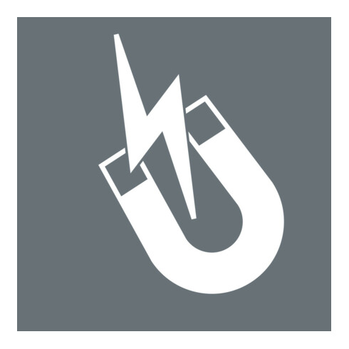 Wera 869/4 M dopsleutel bits, magnetisch, lengte 50 mm