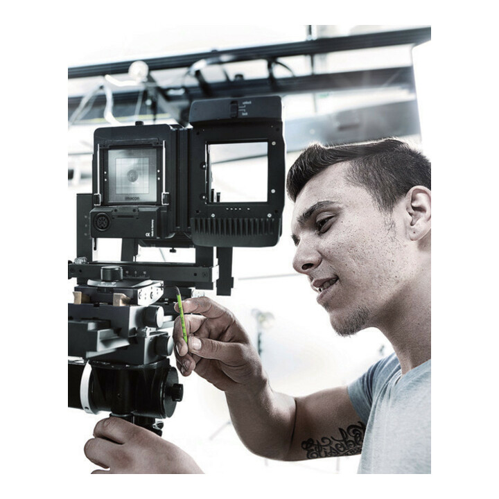 Wera 967 SL TX HF Winkelschlüssel Multicolour mit Haltefunktion, TX 15 x 90 mm