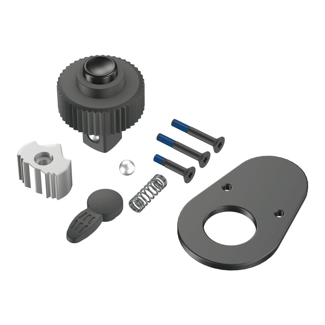 Wera 9900 A 5 Knarren-Reparaturkit für Click-Torque A 5 Drehmomentschlüssel