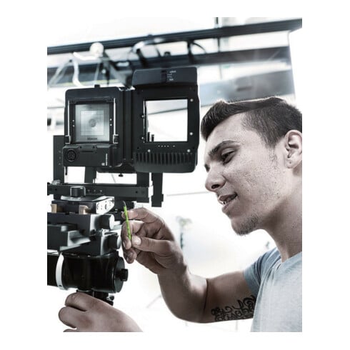 Wera Set di brugole 967/9 TX Multicolour HF 1 con funzione di tenuta, 9pz.