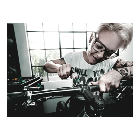 WERA Tournevis dynamométrique sans vernier 600 cN·m