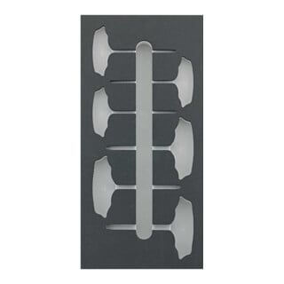 Werkzeugmodul 1/3 leer 188 x 395 x 30mm T-Griff TX FORTIS