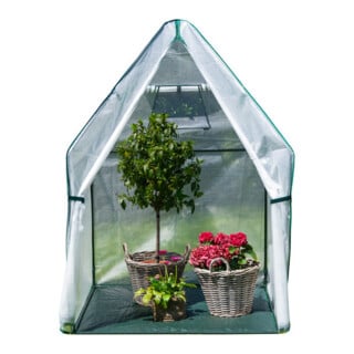 Westmann Serre Chili 120 x 120 x 180 cm avec sol inclus