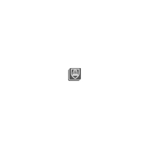 WICATEX Warnweste, BW-MG, EN 20471, orange, Gr. L
